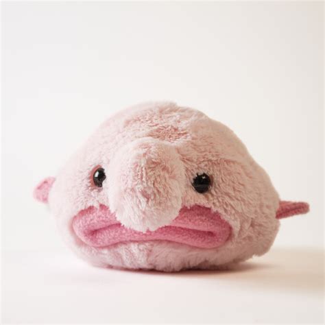 Blobfish stuffed animal - After the blobfish was officially named the World’s Ugliest Animal, an adorable stuffed blobfish popped up on the market, courtesy of Hashtag Collectibles. It was an oversized version of the fish that was soft pink with a large nose and hot pink lips that mimicked the frown that the blobfish seems to make. There were two sizes …Web